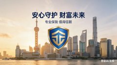 上海诺承保险代理：专业赋能保障服务，
