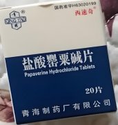 血管的“缓解大师”——认识盐酸罂粟碱片